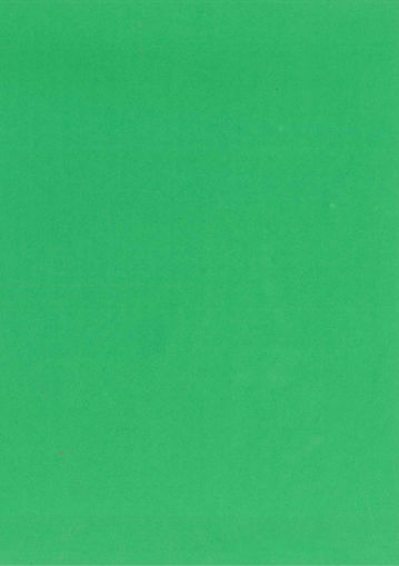 Picture of FOAM A4 GREEN